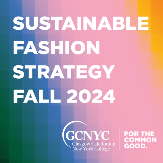 Sustainable Fashion Strategy Course Fall 2024